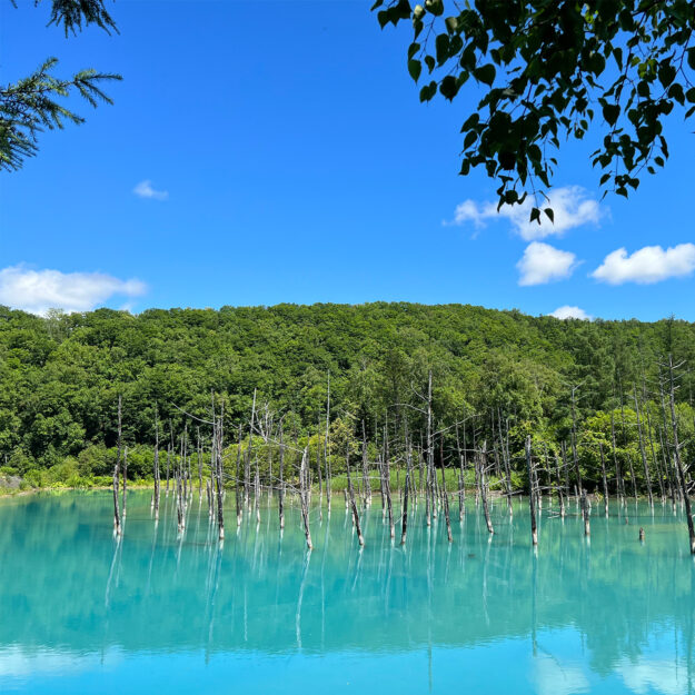 メンエス大百科北海道
